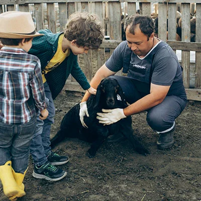 免费节点机场 - 1月28日20.6M/S|免费Clash节点/V2ray节点/Trojan节点/Singbox节点/Shadowrocket节点/SSR节点节点推荐，VPN节点购买推荐